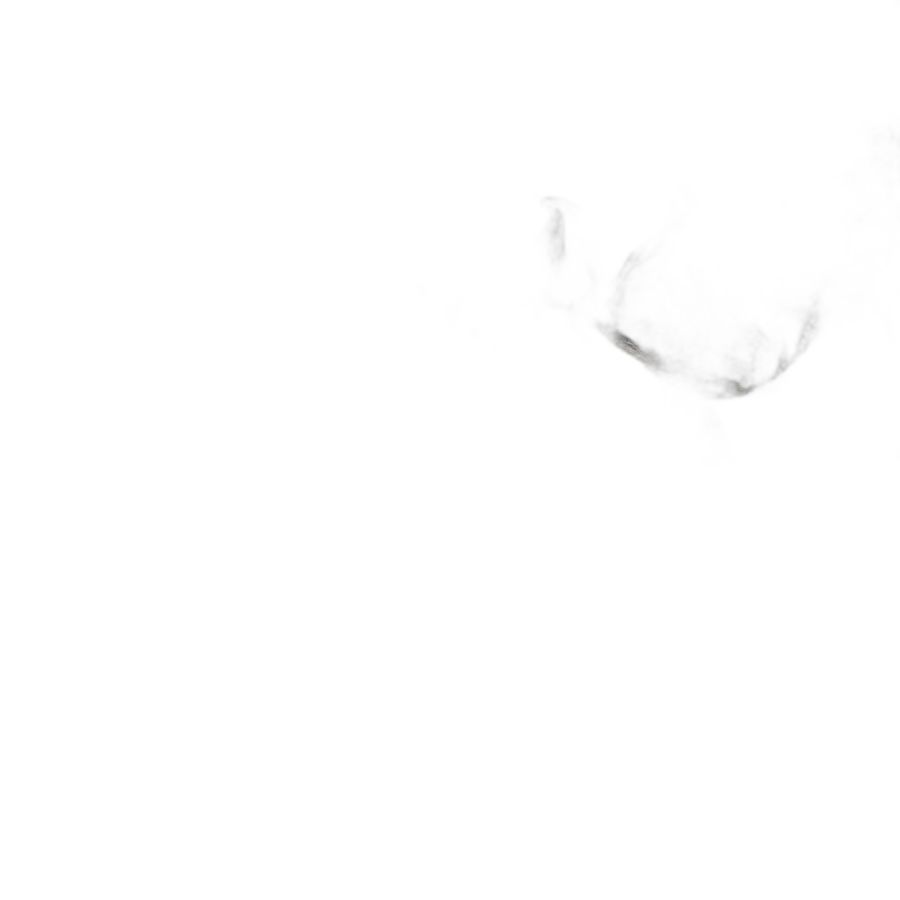 Чай черный Цейлон Ветиханда FBOP1