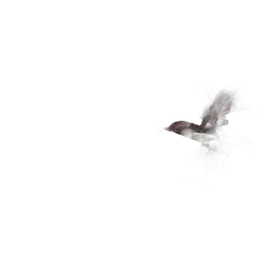 Чай травяной Малина с мятой
