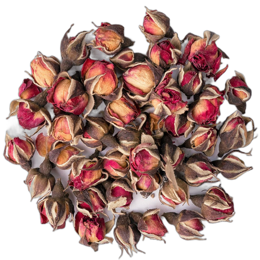 Роза юньнаньская (бутоны)