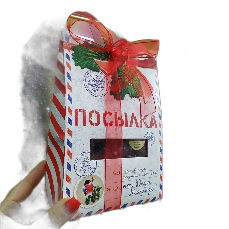 Подарок новогодний Посылка №4